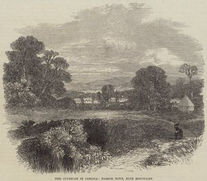 The Outbreak in Jamaica, Maroon Town, Blue Mountains