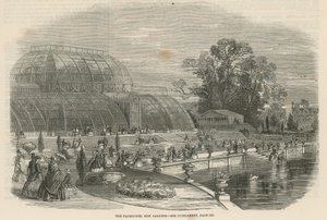 The Palm House, Kew Gardens, London by English School