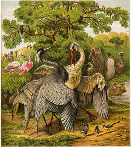 The Peacock at Home by English School