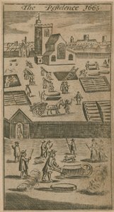 The Pestilence 1665 by English School