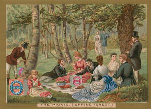 The Picnic, Epping Forest