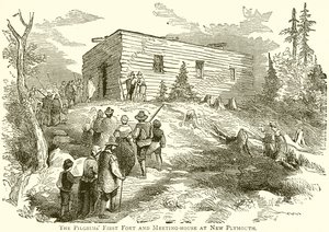The Pilgrims