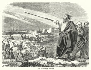 The Plague of Locusts by English School