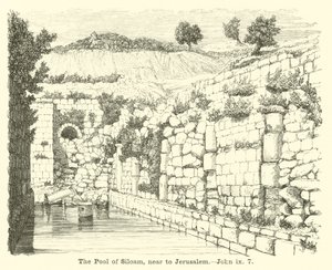 The Pool of Siloam, near to Jerusalem by English School