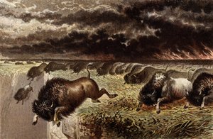 The Prairie on Fire by English School