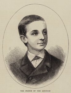 The Prince of the Asturias