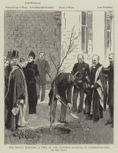The Prince planting a Tree at the Victoria Hospital in Commemoration of his Visit