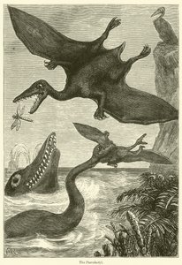 The Pterodactyl by English School