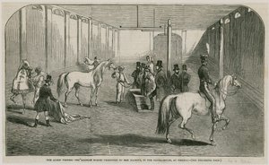 The Queen Viewing the Arabian Horses Presented to Her Majesty, in the Riding House at Pimlico