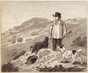 The Rabbit Warren by English School