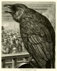The Raven, from Life