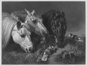 The Scanty Meal, from the Picture in the Vernon Gallery by English School