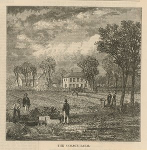 The Sewage Farm by English School