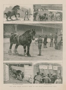 The Shire Horse Societys Show at the Royal Agricultural Hall by English School