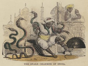 The Snake Charmer of India by English School