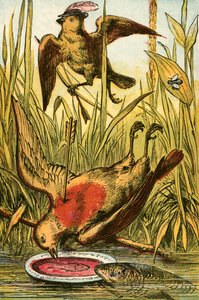 The Sparrow, Cock Robin and the fish by English School