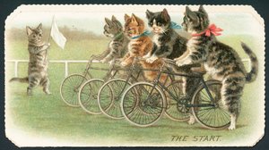 The Start, Cat Cycle Race
