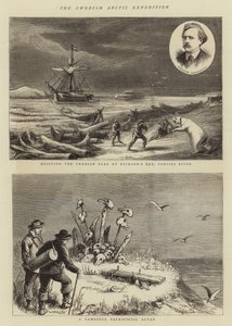 The Swedish Arctic Expedition