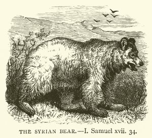 The Syrian Bear, I, Samuel, xvii, 34 by English School