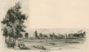 The Thames Regatta