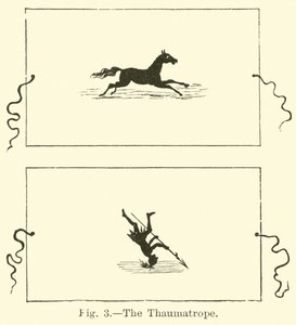 The Thaumatrope by English School