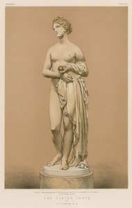 The Tinted Venus (by J Gibson, R A) by English School