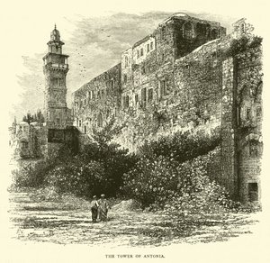 The Tower of Antonia by English School