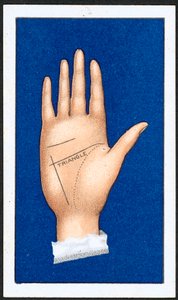 The Triangle (1) by English School