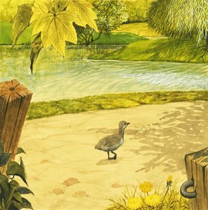 The Ugly Duckling