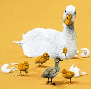 The Ugly Duckling
