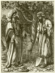 The Unfruitful Tree