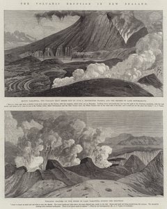 The Volcanic Eruption in New Zealand (engraving) by English School