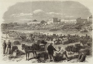 The War in America by English School