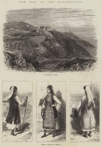 The War in the Herzegovina
