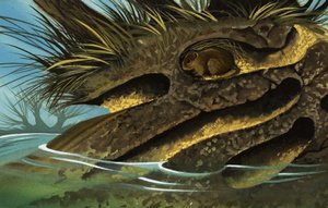The Water Vole by English School