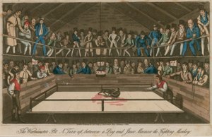 The Westminster Pit: A Turn-Up Between a Dog and Jacco Macacco, the Fighting Monkey