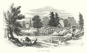 The Wey Bridge