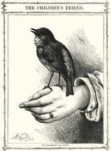 The Woodhall Spa Robin by English School