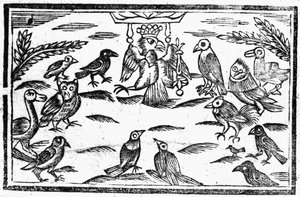 The Woody Choristers or The Birds Harmony, an Illustration from 