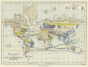 The World Showing Food and Commercial Products by English School