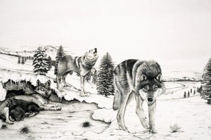The World of Nature: The 