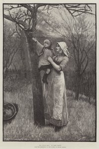 The Young Bud by English School