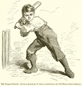 The Young Cricketer by English School