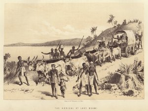 The Arrival at Lake Ngami
