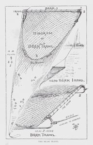 The beam trawl