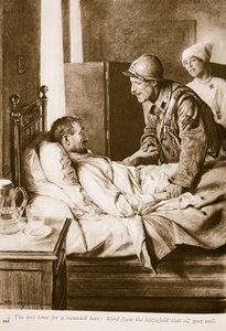 The Best Tonic for a Wounded Soldier: Word from the Battlefield that All Goes Well, 1914-19