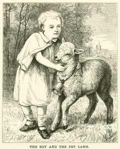 The Boy and the Pet Lamb by English School