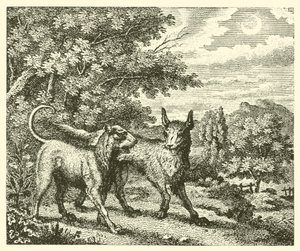 The Dog and the Wolf