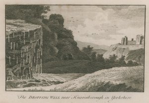 The dropping well near Knaresborough in Yorkshire