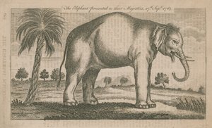 The Elephant Presented to Their Majesties by English School